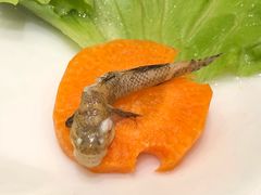 -忆春秋火锅(文翠路店)