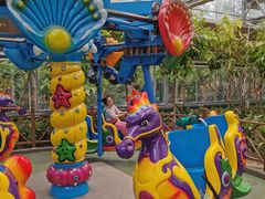 -南宫五洲植物乐园