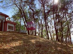 -东湖磨山景区