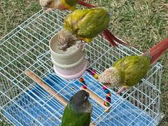-二沙岛艺术公园