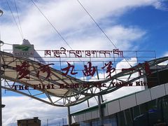 -黄河九曲第一湾