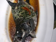 -宝燕壹号(徐汇店)