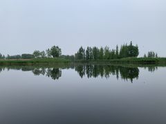 -白洋淀景区
