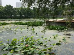 android_upload_pic-北山公园
