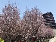 -西安汉城湖景区