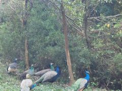 -森波拉火山温泉