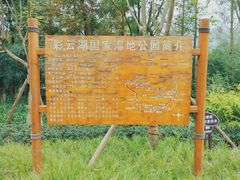 -重庆彩云湖湿地公园