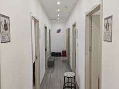 -大象音乐·吉他·架子鼓·声乐(双井店)