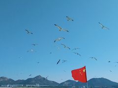 -海驴岛(荣成市)