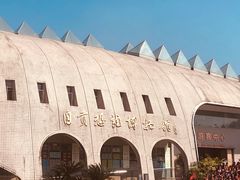 -自贡恐龙博物馆