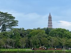 -顺峰山公园