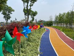 -溱湖国家湿地公园