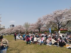 -帝京日语(春熙路旗舰校区)