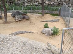 -石家庄市动物园