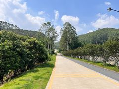 -黄埔油麻山森林公园