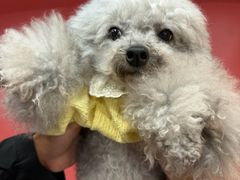 -和它·交个朋友·狗咖猫咖(爱琴海店)