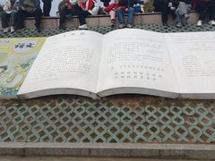 -观潮胜地公园