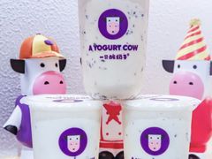 -一只酸奶牛(奎星楼店)