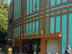-西双版纳原始森林公园