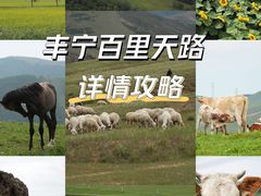 -百里天路