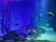 -沈阳海洋探索中心