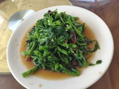 拌泉水菜-俺家菜馆(百里峡店)