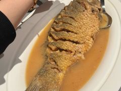 -阿庄新豫菜(通泰路店)