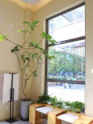 -摩睫+皮肤管理·科学美容中心