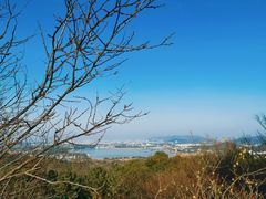-香雪海