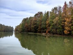 -上海海湾国家森林公园