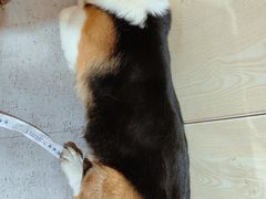 -阿尔法海鲜排档(爱琴海店)