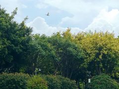 -白鹭洲公园