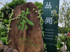 -龙坞茶村
