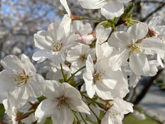 -龙美术馆(西岸馆)