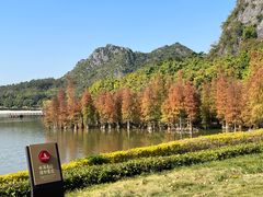 -南宁花花大世界景区
