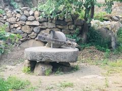 -大岭沟猕猴桃谷风景区