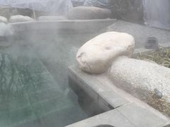 -骏途旅游