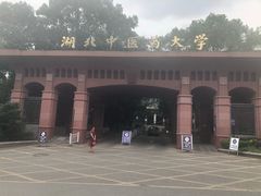 -湖北中医药大学(昙华林校区)