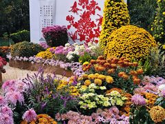 -共青国家森林公园-售票处