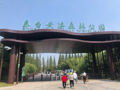 -黄海国家森林公园