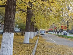 -辽东学院(南校区)