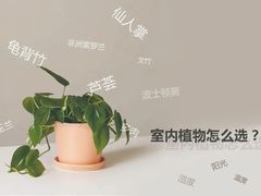 -宅天下装饰·匠心筑家(春熙店)