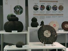 -中国茶叶博物馆(双峰馆区)