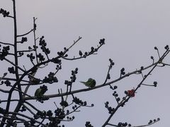 -广州雕塑公园