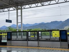 -都江堰中华大熊猫苑
