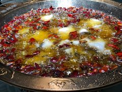 -雲蜀龙阁·金牌水煮鱼(方庄店)