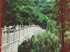 -重庆彩云湖湿地公园