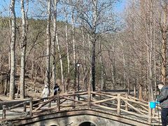 -白水寺森林公园