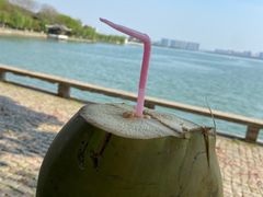 -苏州上方山国家森林公园
