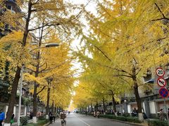-四川大学(望江校区)